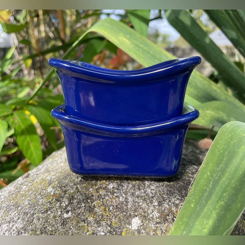 Rachael Ray Blue Ceramic Bowls